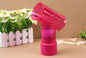 2-in-1 Hair Dryer & Magic Curling Styler